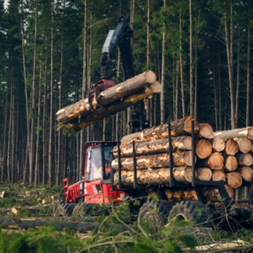 Timber Harvesting